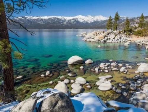 Private Lake Tahoe transportation in a comfortable black SUV