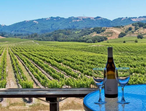 Private Sonoma wine tour transportation in a black SUV