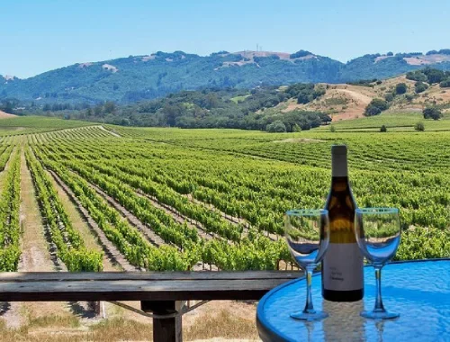 Private Sonoma wine tour transportation in a black SUV