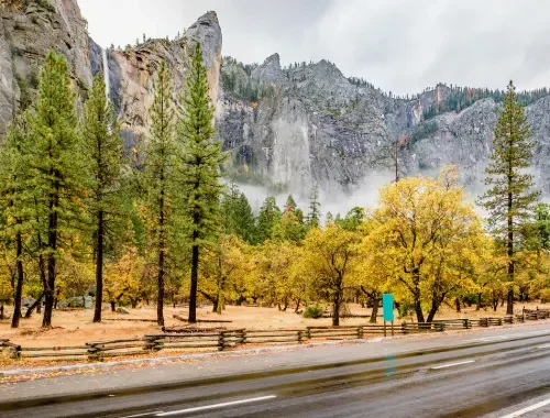 Private black SUV transportation to Yosemite National Park
